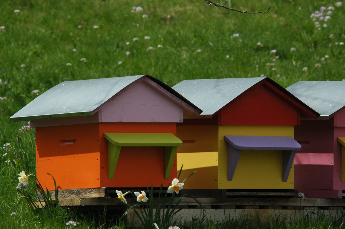 Rucher des deux lacs