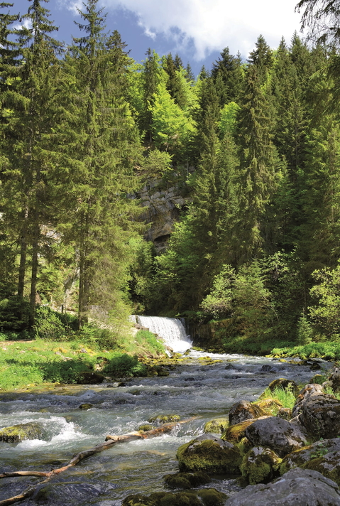 Source du Doubs