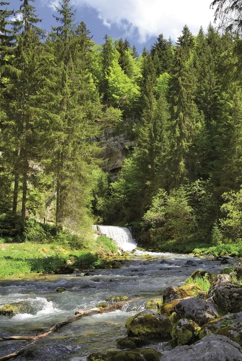 Source du Doubs