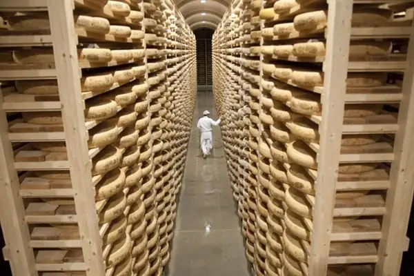 Les caves d'affinage du Comté au Fort Saint-Antoine